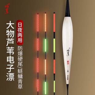明孚芦苇大物电子夜光漂硬尾醒目加粗咬钩变色鲢鳙夜光鱼漂远投漂