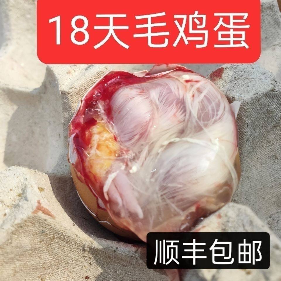 毛蛋鸡胚蛋新鲜18天-21天生的毛鸡蛋商用带毛可油炸烧烤顺丰40枚