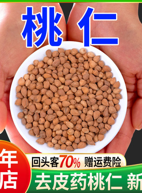 中药桃仁500g带皮生桃仁中药材正品山桃仁生桃仁粉红花四物汤 粉