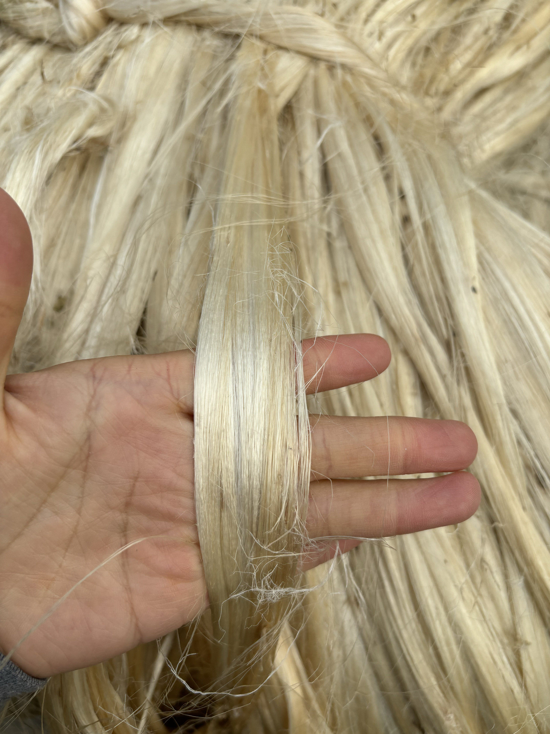 精品白麻苘麻丝孝麻批发散装填充物绳子原麻密封苘丝水管密封白麻