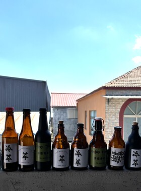 网红ins冷萃 冰滴咖啡瓶美式创意冷泡茶瓶外卖饮料玻璃空瓶啤酒瓶
