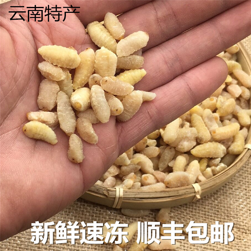 云南特产三级蜂蛹新鲜野生冷冻马蜂葫芦峰蜂仁冰冻500g顺丰包邮