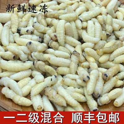 一二级混合蜂蛹野生新鲜冷冻马蜂葫芦幼蜂拥云南特产500g顺丰包邮