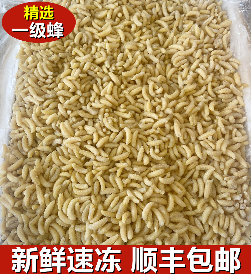 蜂蛹野生新鲜冷冻一级蜂速冻马蜂拥烧烤油炸云南特产500g顺丰包邮