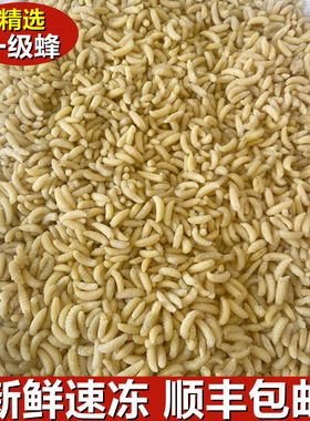 蜂蛹野生新鲜冷冻一级蜂速冻马蜂拥烧烤油炸云南特产500g顺丰包邮
