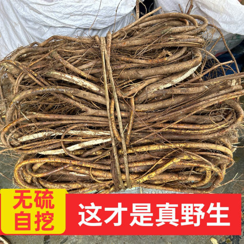 野生五指毛桃干货广东土特产煲汤农家自挖新鲜无硫五爪龙500g - 封面
