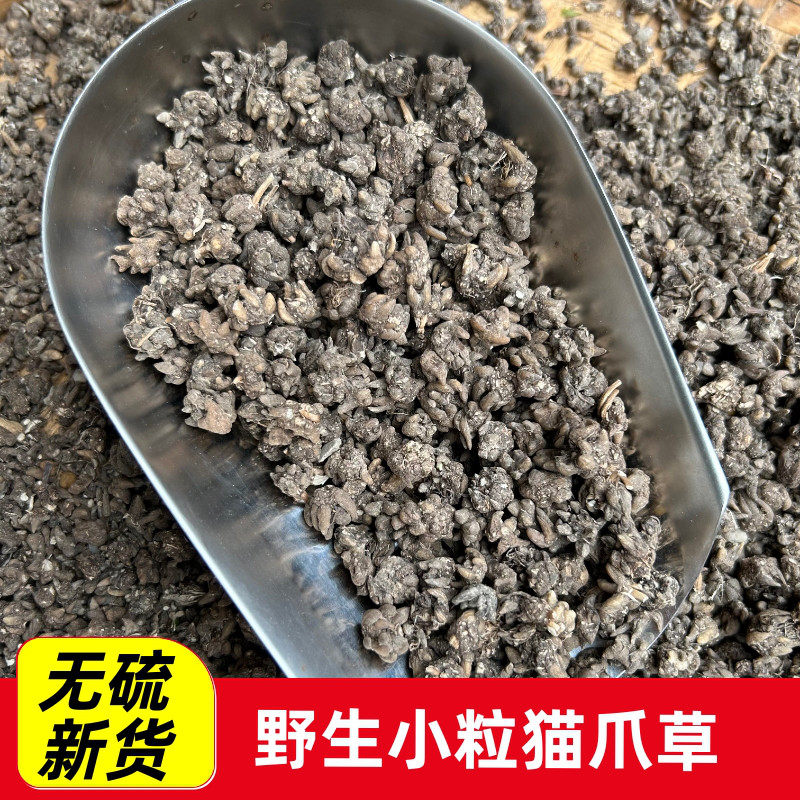 野生猫爪草药材干货正品猫抓草今年新货泡水煲汤夏枯草茶