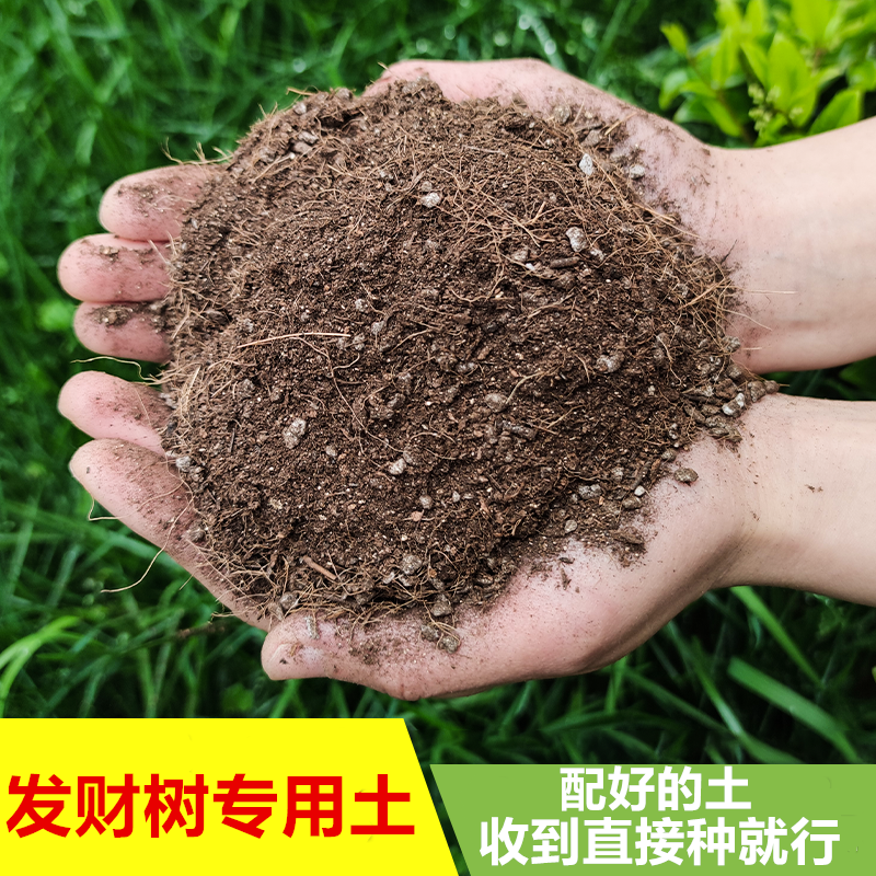 发财树营养土种植土专用土微酸性土沙质泥炭土壤配方土红土肥料 卖土的老男孩 淘优券