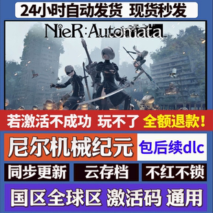 尼尔机械纪元 cdk激活码入库 staem游戏 国区全球区 同步更新