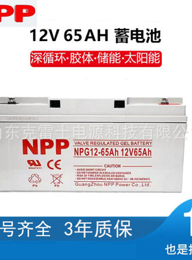 npp耐普NP12-7Ah蓄电池12V5 9 12 17 24 38 40 65 100ah电梯UPS源