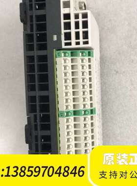 SOFTLINK 智能控制器 RT133-1BL00-CAN议价
