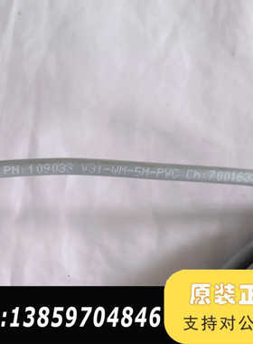 P+F工业连接线，型号PN:109033 V31-WM-议价