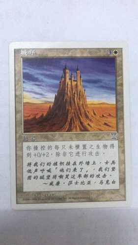 万智牌 城堡 第五版 银牌 白色 简中 实拍 桌游卡牌 上海文波 MTG