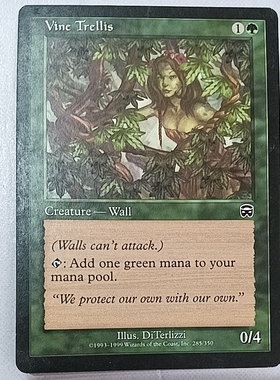万智牌 藤蔓棚架  Vine Trellis 玛凯迪亚 绿色 普 实拍 文波 MTG