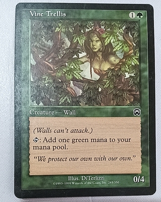 万智牌 藤蔓棚架  Vine Trellis 玛凯迪亚 绿色 普 实拍 文波 MTG