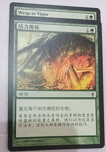 万智牌 活力覆庇  Wrap in Vigor