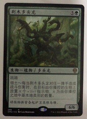 万智牌 荆木多头龙 金 金牌 绿 绿色 简中 实拍 上海文波MTG