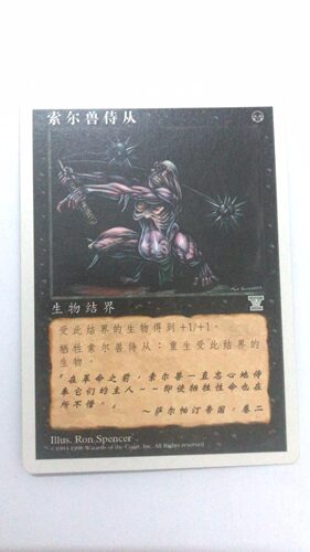 万智牌 索尔兽侍从 第五版 银 黑 银牌 简中 实拍上海文波MTG