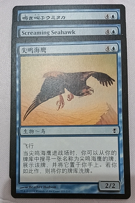 万智牌 尖鸣海鹰  Screaming Seahawk