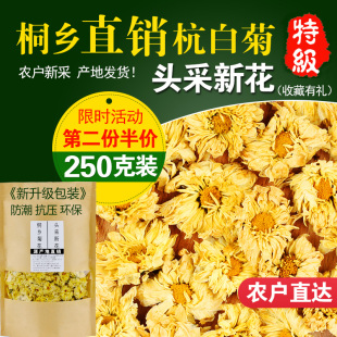 菊花茶正宗桐乡原产特级菊花茶杭白菊朵花散装 白菊花250g茶叶泡水