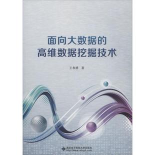 新华书店正版 面向大数据 王和勇 高维数据挖掘技术 书籍