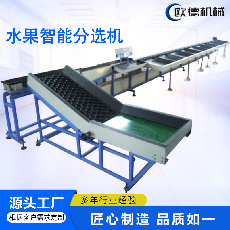 苹果分选机 橘子橙子牛油果重量多级分拣 高效精准度高不锈钢材质