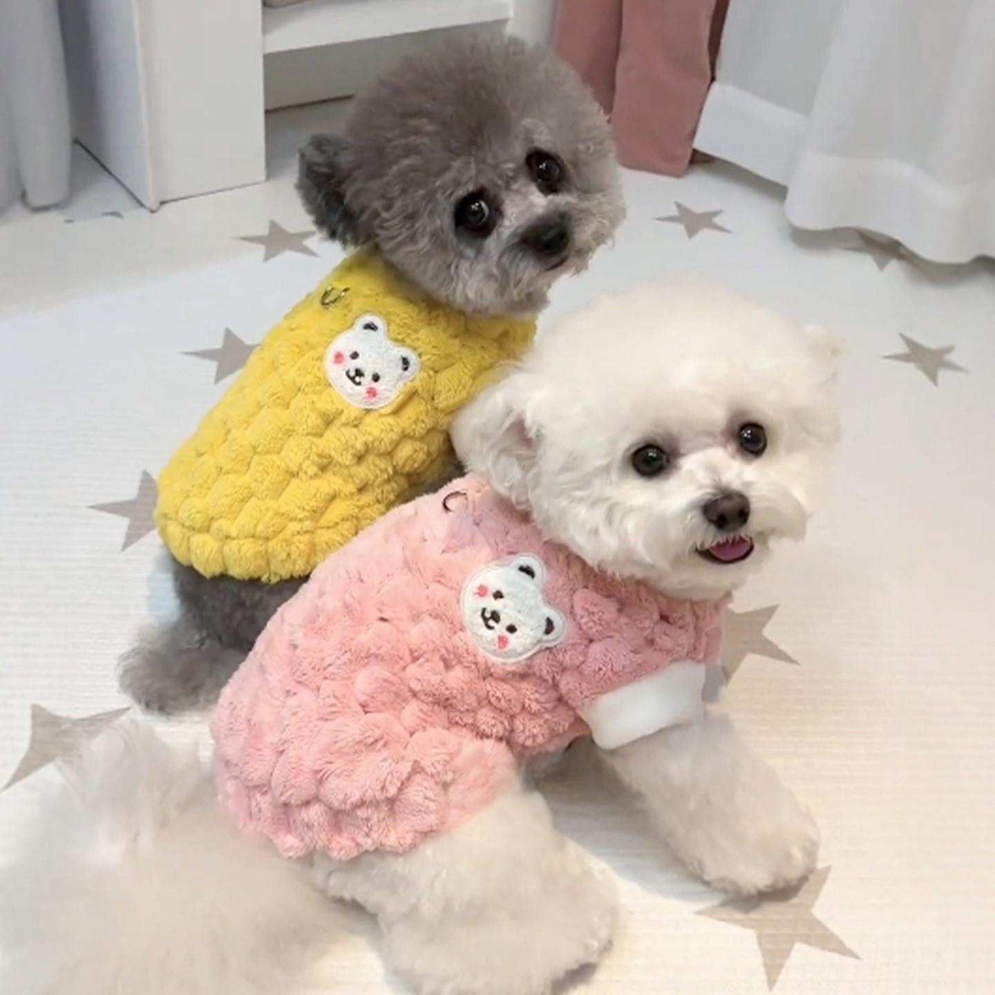 猫咪衣服秋冬保暖狗狗可牵引卫衣