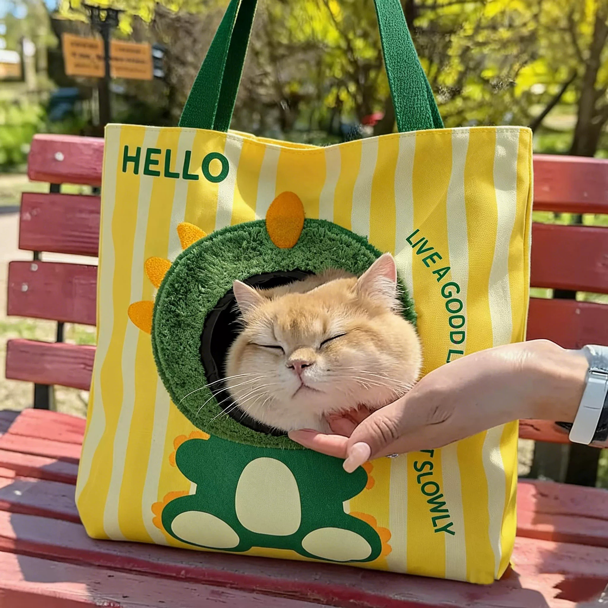 猫包外出便携恐龙帆布手提包宠物