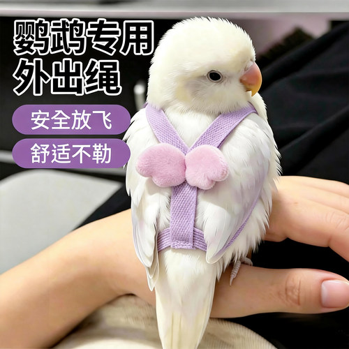 鹦鹉牵引绳不伤脚翅膀放飞绳胸背