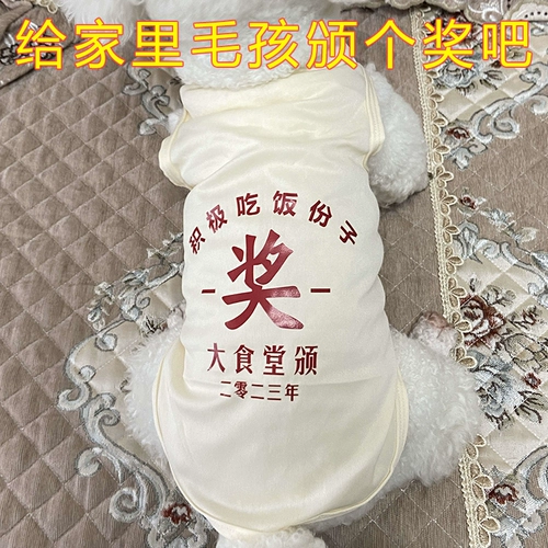 Собачья одежда Весна и летняя награда Тонкий жилет, Тедди Бибельбуи Кот Кот Саммер маленький собачий питомник жилет