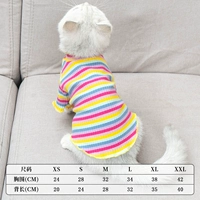 Rainbow Strip T -Fore [два фута]