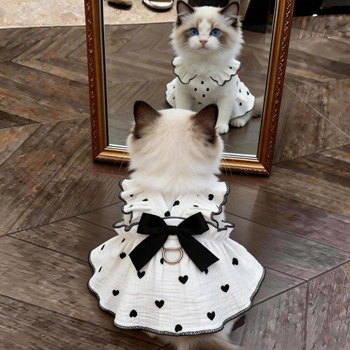 猫咪衣服夏季透气蝴蝶结公主裙