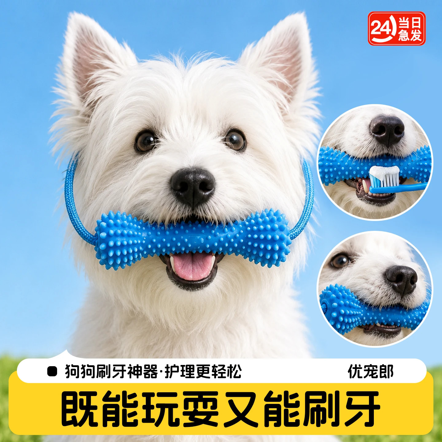 狗狗刷牙辅助器洁齿磨牙橡胶玩具