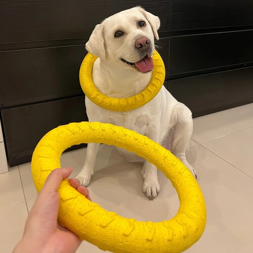 狗狗玩具橡胶大拉环宠物拉布拉多