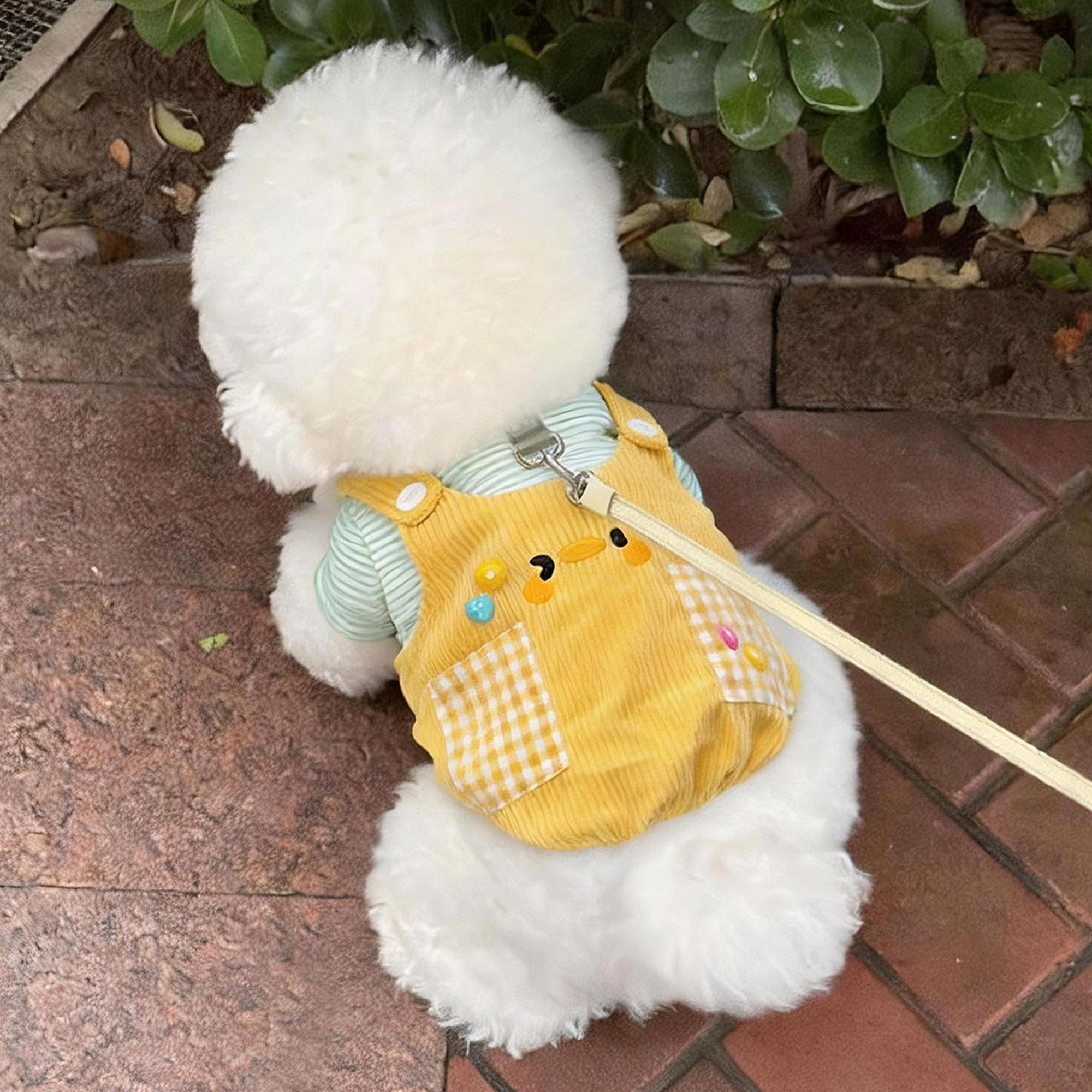 狗狗衣服秋天可牵引假两件卫衣