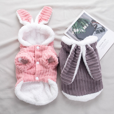 猫咪衣服小猫幼猫兔子棉衣戴帽装