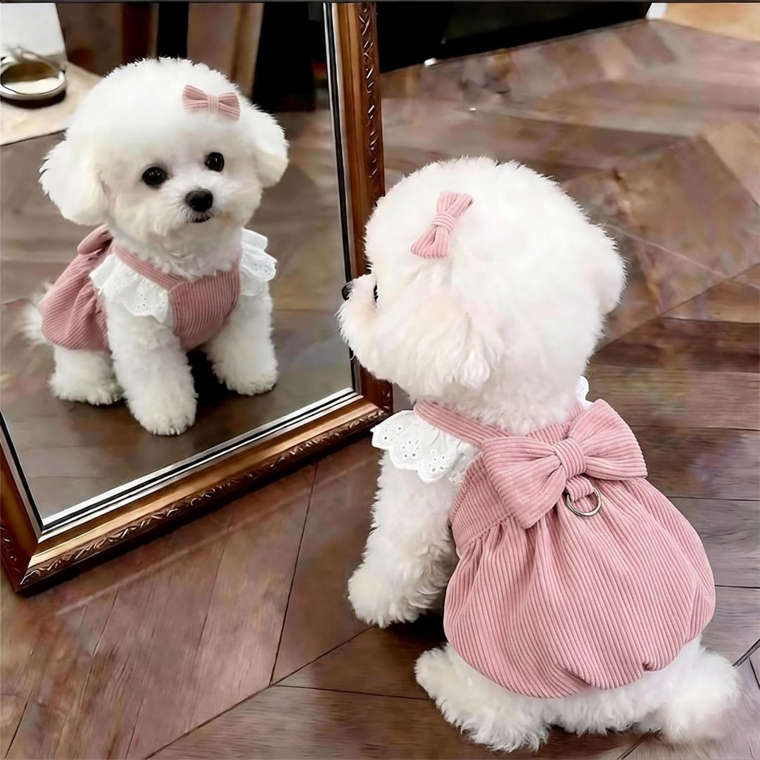 宠物狗狗衣服裙子带牵引扣秋冬