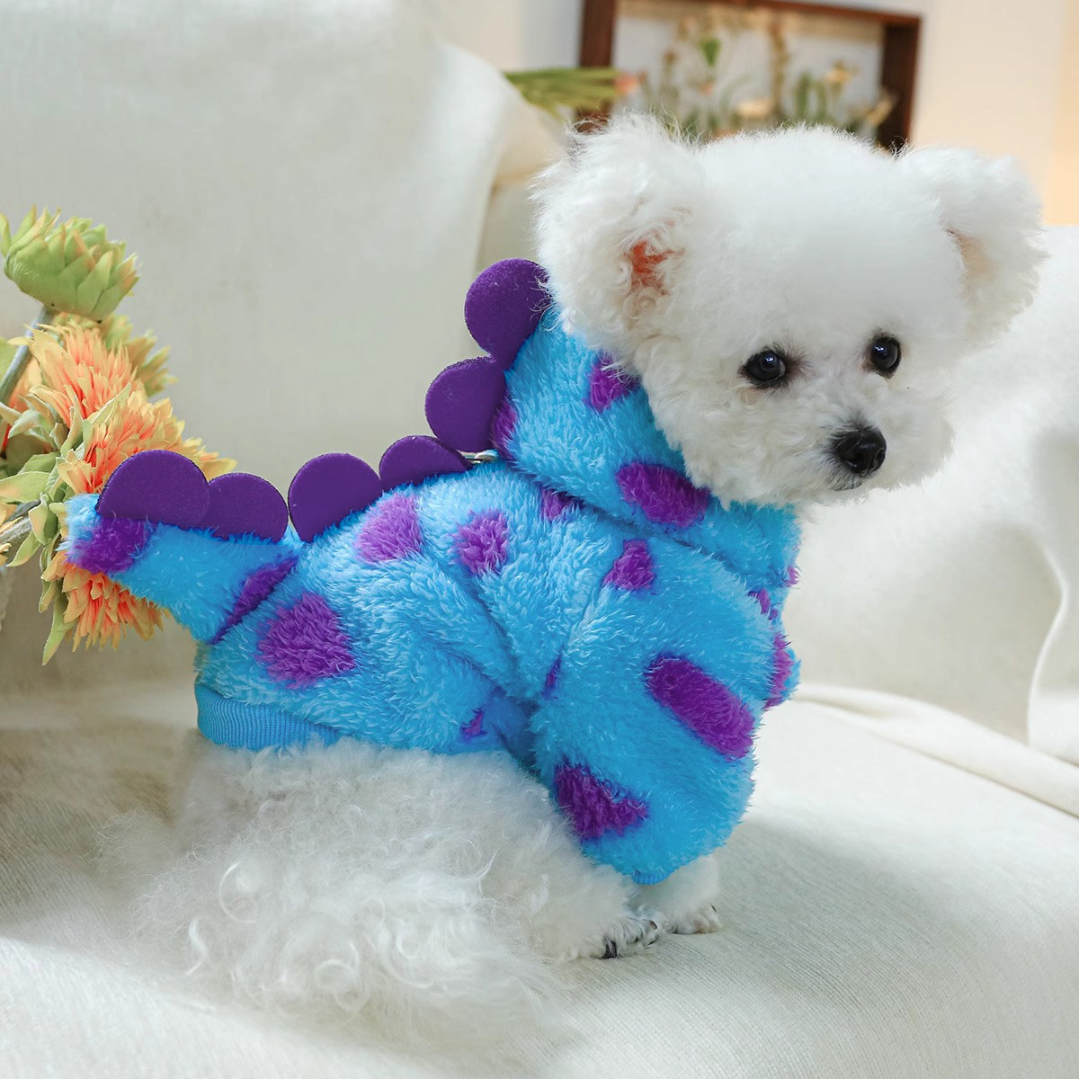 宠物衣服秋冬加厚保暖可爱恐龙变身装小狗狗幼犬比熊泰迪猫咪冬季