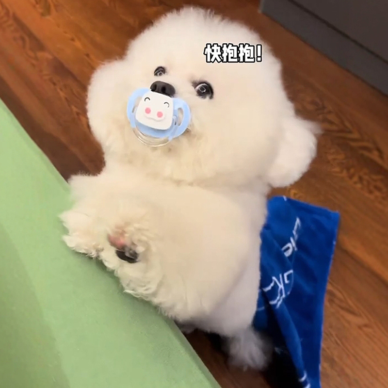 狗狗奶嘴安撫專用比熊睡覺仿生嘴