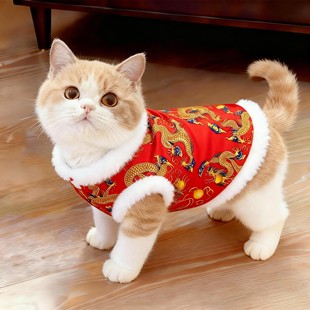 猫咪衣服新年龙装冬季保暖小猫拜年棉衣布偶英短金渐层宠物防掉毛