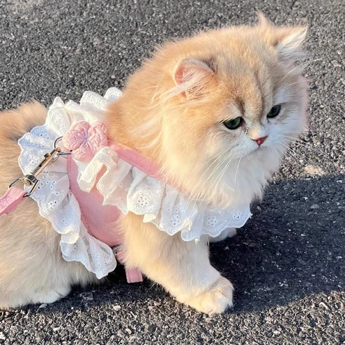 Повод для кошек регулируется с маленьким цветочным юбцом JK PET одежда для грудной клет