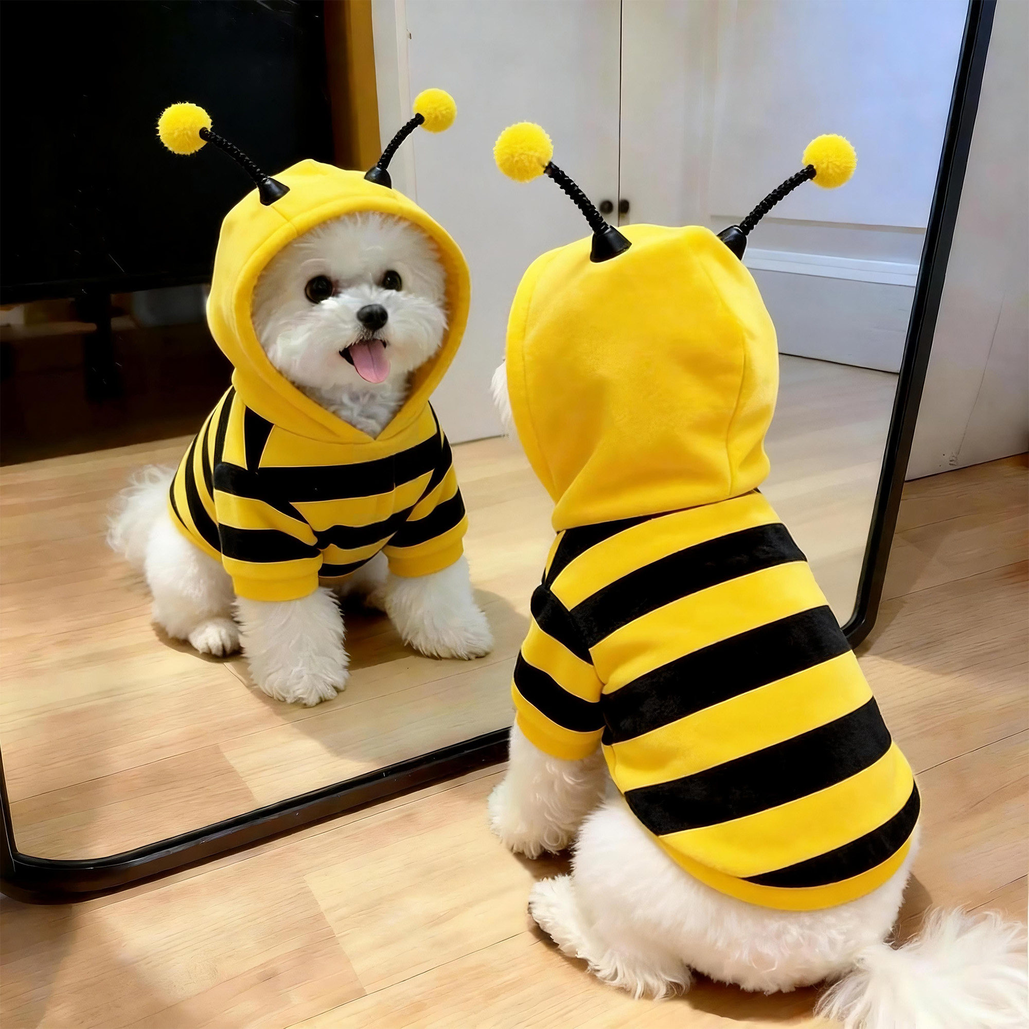 春秋狗狗衣服连帽蜜蜂卫衣泰迪比熊柴犬柯基猫咪宠物小狗冬天卫衣