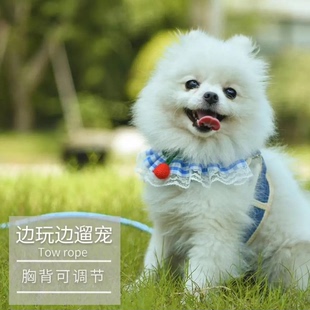 狗狗牵引绳胸背带比熊博美泰迪猫咪背心式遛狗绳小型犬外出专用链