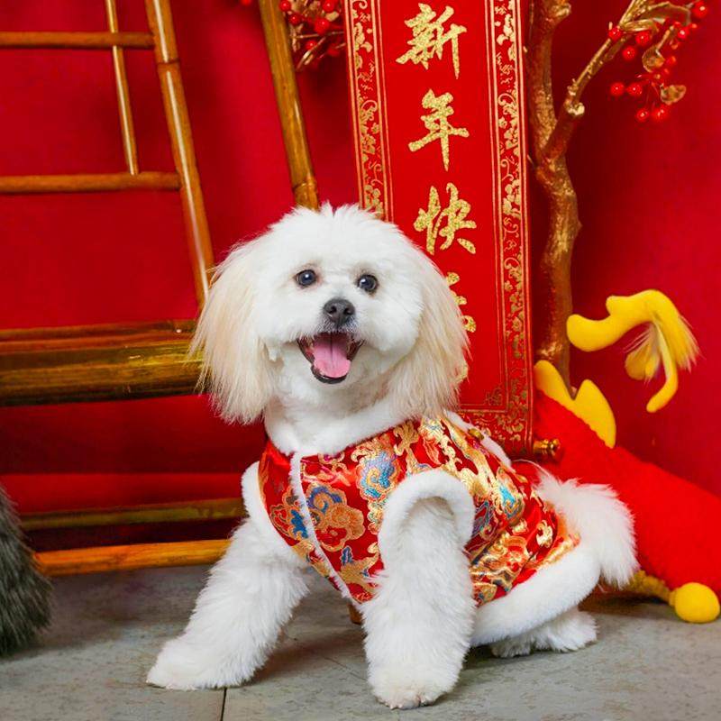 猫咪衣服冬季保暖狗狗皇上龙袍袄