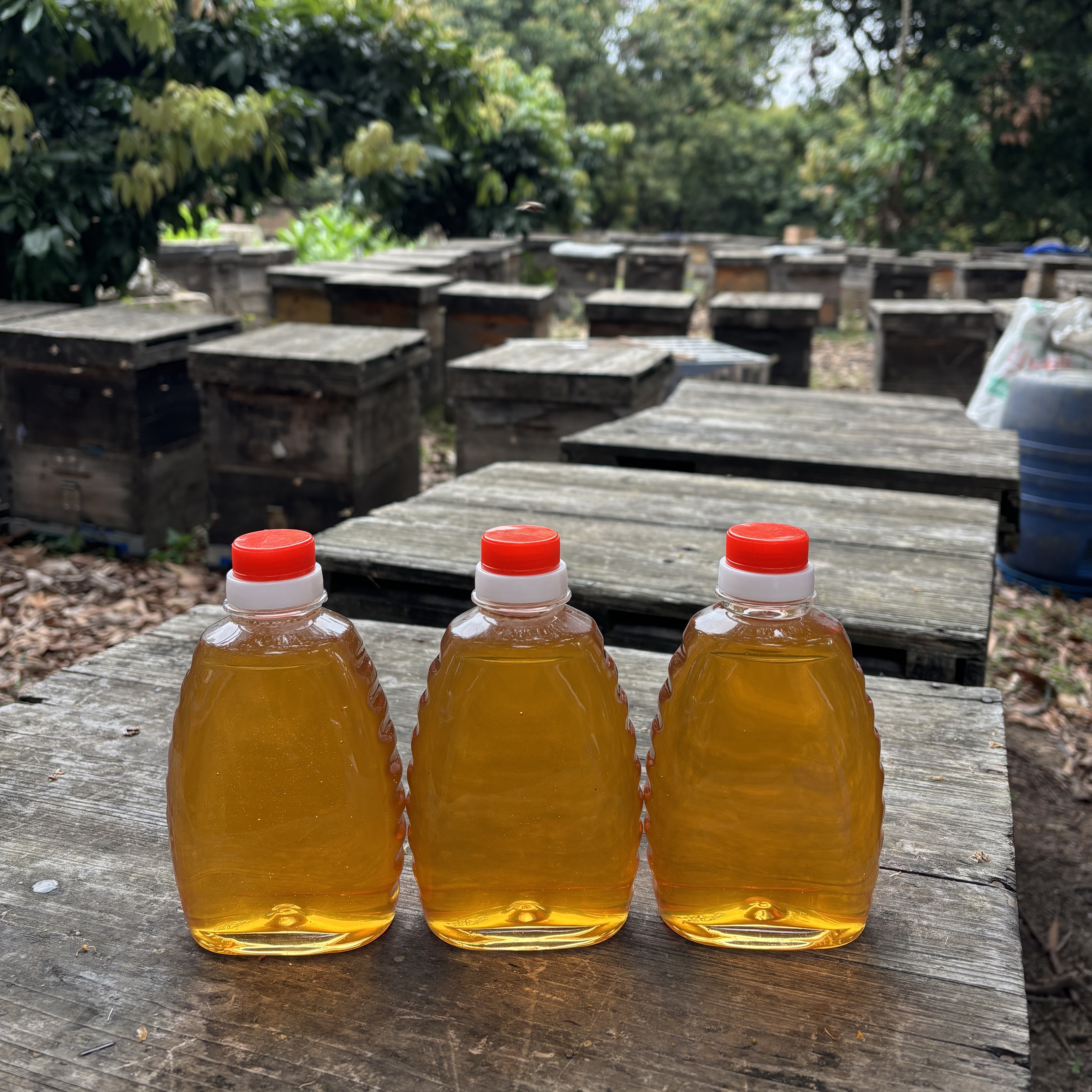 蜂蜜天然土蜂蜜深山百花蜂蜜正品蜂巢蜜农家自产真蜂蜜批发一斤装