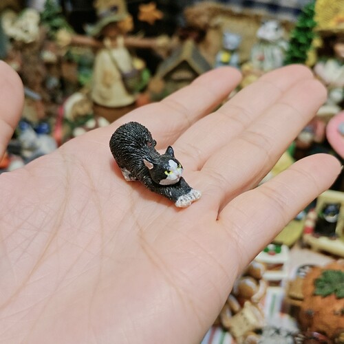 中古二手