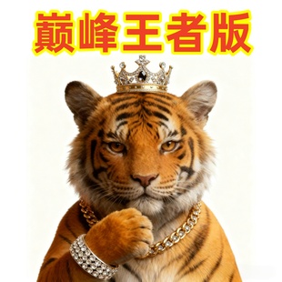 满钻手镯定制版Customized full - diamond bracelet