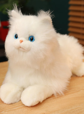 仿真波斯猫公仔抱枕毛绒玩具可爱猫咪玩偶布娃娃儿童节女生日礼物