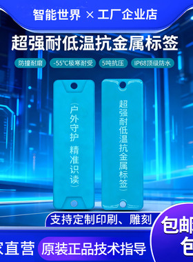 RFID超高频户外耐低温防撞耐磨抗金属户外资产管理UHF电子标签6C