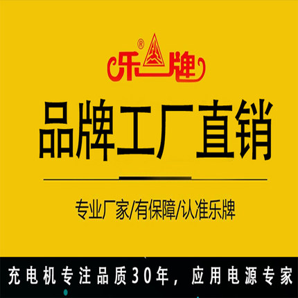 乐牌电瓶充电机逆变器大功率汽车货车船发电机摩托摆摊叉车通用